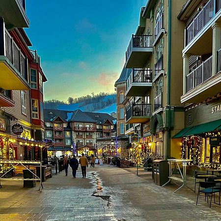 Blue Mountain Studio Oasis Blue Mountains Dış mekan fotoğraf