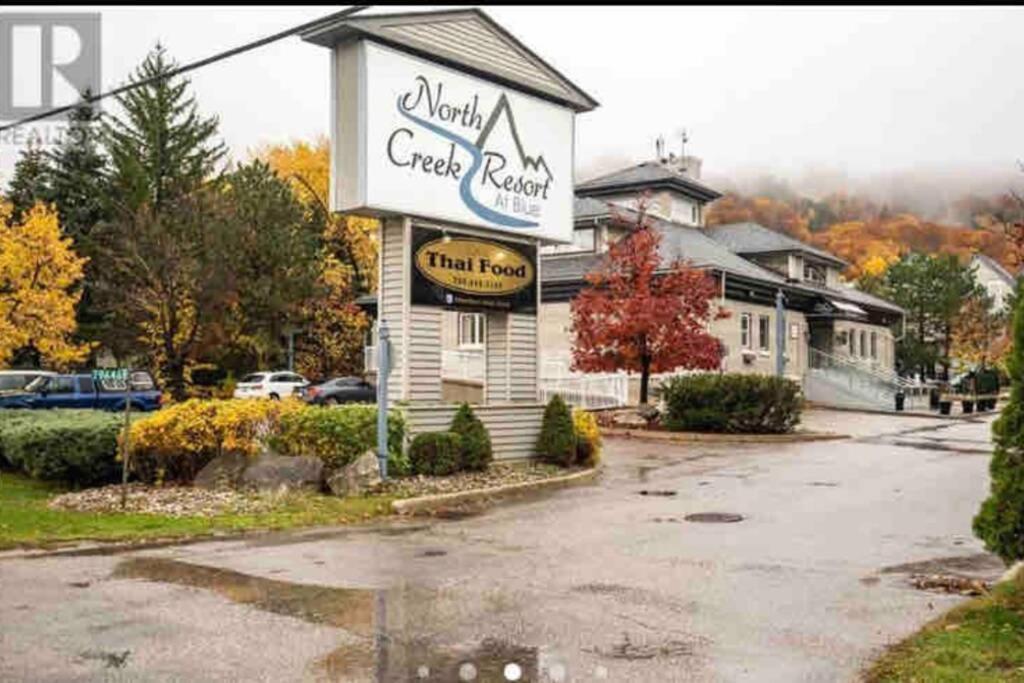 Blue Mountain Studio Oasis Blue Mountains Dış mekan fotoğraf