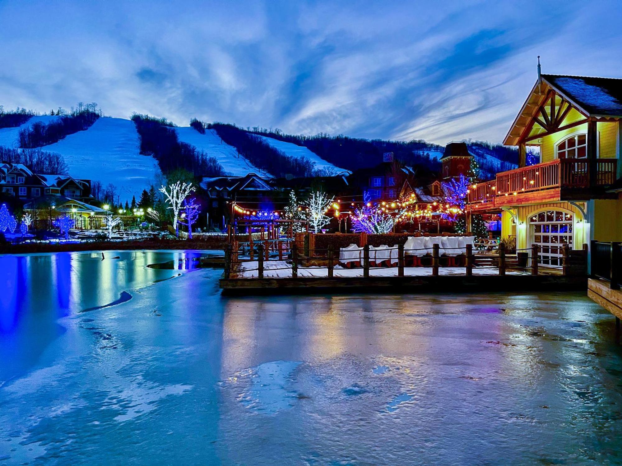 Blue Mountain Studio Oasis Blue Mountains Dış mekan fotoğraf